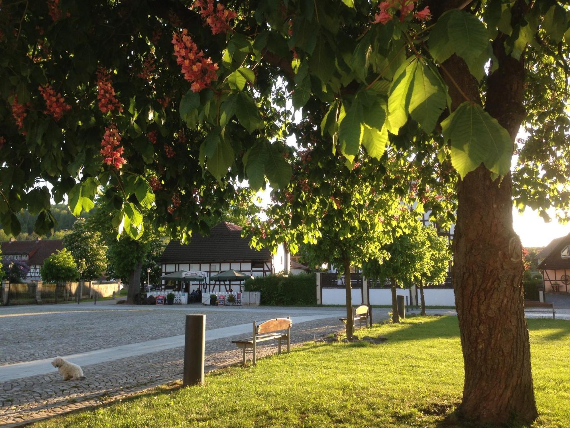 Klosterhotel Walkenried Buitenkant foto