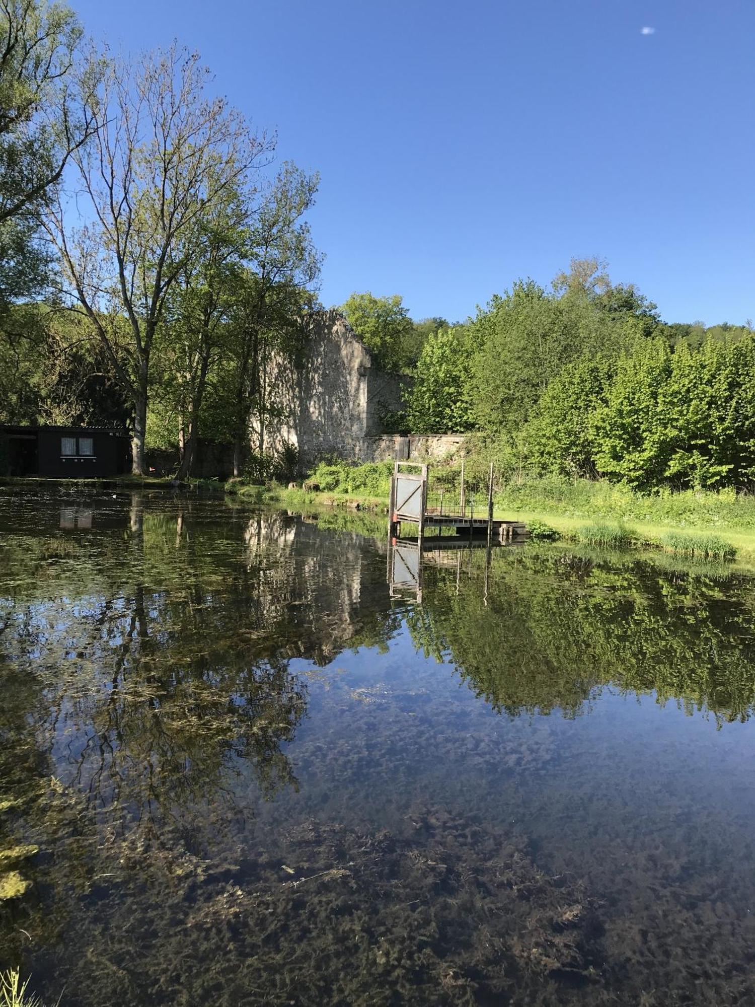 Klosterhotel Walkenried Buitenkant foto
